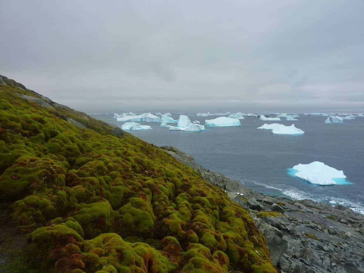 Islands & cities could be flooded even if global warming targets are met