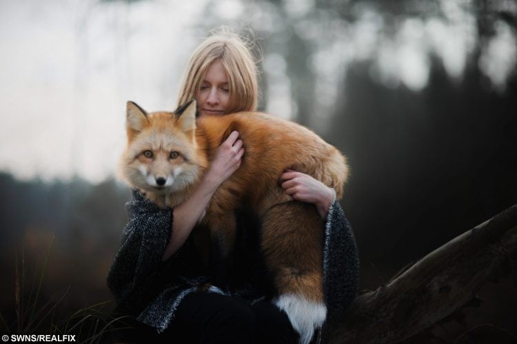 Hunt or Hug? Photographer Forms Friendship With Wild Fox Who Even Lets Her Hug Her