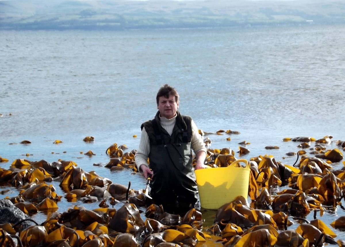 Man opens UK’s first dedicated seaweed shop