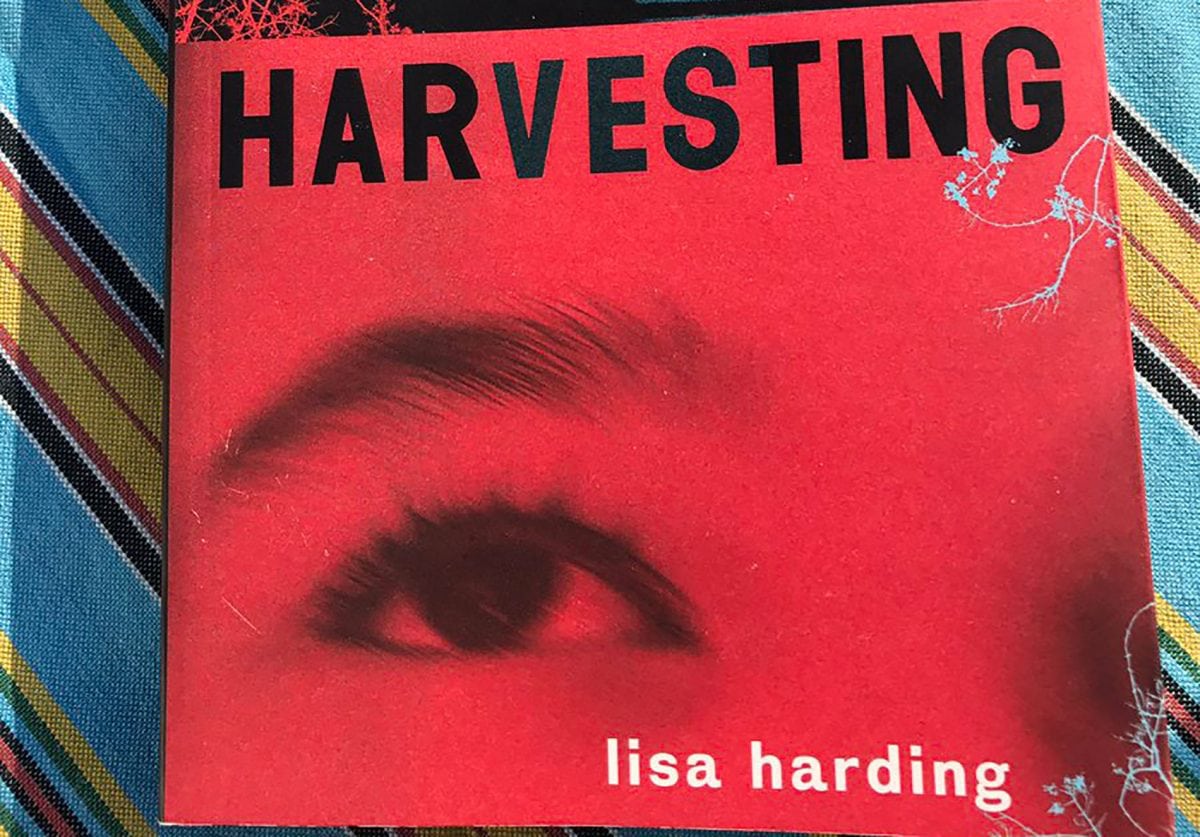 Book Review: Harvesting by Lisa Harding (novel)