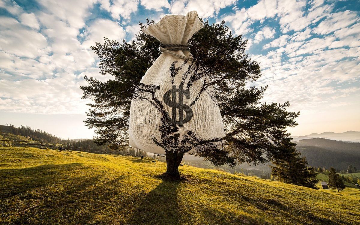 There is a magic money tree…in fact there are two