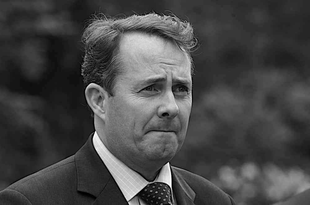 Pull the other one! Liam Fox claims EU trade deal after Brexit should be ‘easiest in history’