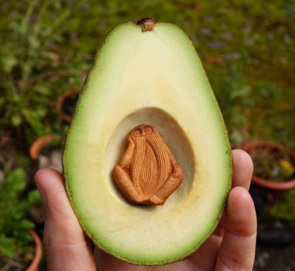 An avocado a day keeps heart disease at bay