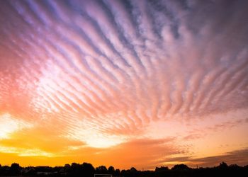 A glorious sunrise caught on a mackerel sky over Normanton, West Yorkshire. The term is used when the sky is full of rows of cirrocumulus or altocumulus clouds displaying in an undulating and rippling pattern similar in appearance to the fishes scales. July 27 2017.