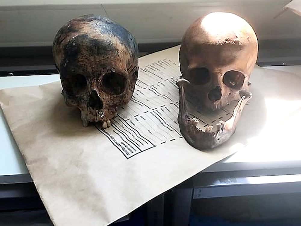 Male & female skulls from 100 yrs ago found in plastic bags in sleepy market town