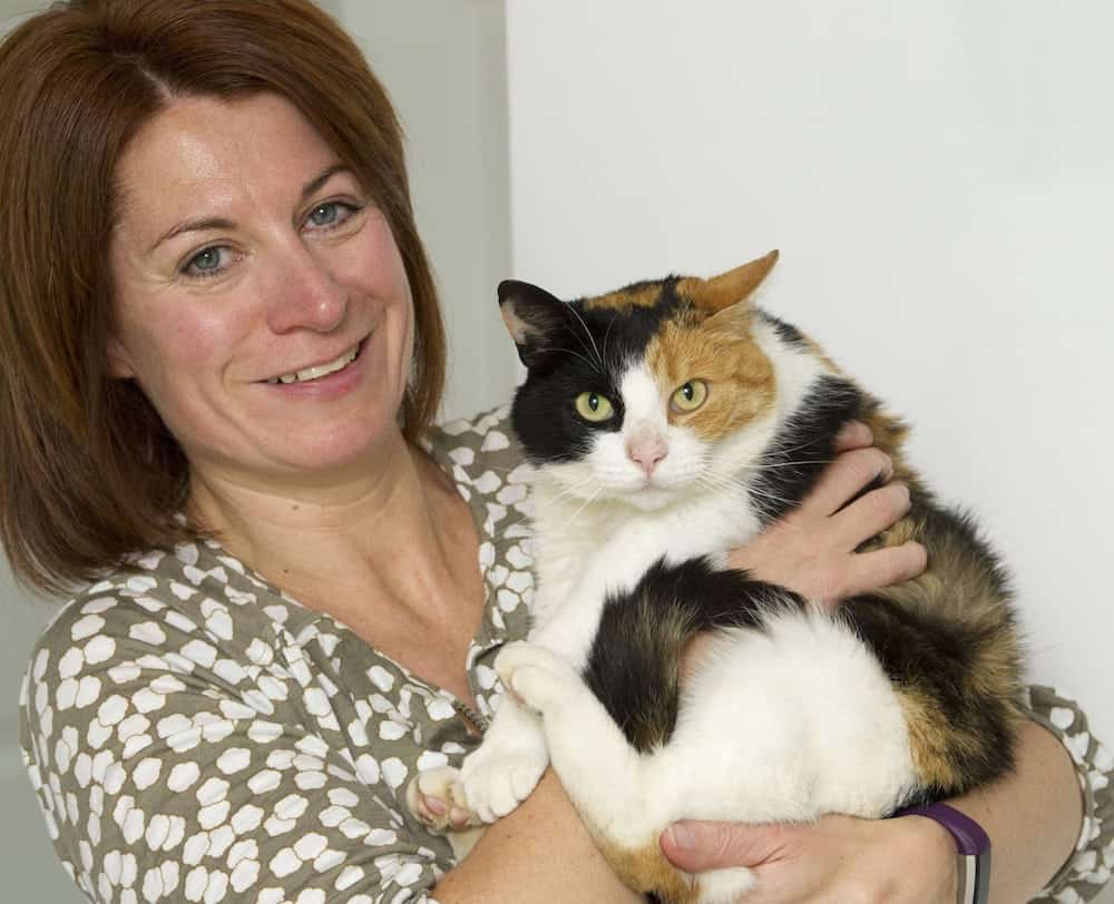 Elaine Harman with her cat Ginny who had gone missing from the family home in Dunbar, West Lothian only to turn up 30 miles awayy at Portobello Beach in Edinburgh. See Centre Press CPCAT; A family have been reunited with their beloved cat which went AWOL one year ago and decided to live on a BEACH. Adventurous Ginny disappeared last summer, leaving her owners distraught and worried. But the Harmans were left stunned when they received a call out of the blue informing them that Ginny had been discovered living by the sea. The three-year-old feline had embarked upon a 30-mile journey, from Dunbar, East Lothian, to Portobello, a coastal suburb of Edinburgh. There, she was spotted numerous times by passers-by over the last year.