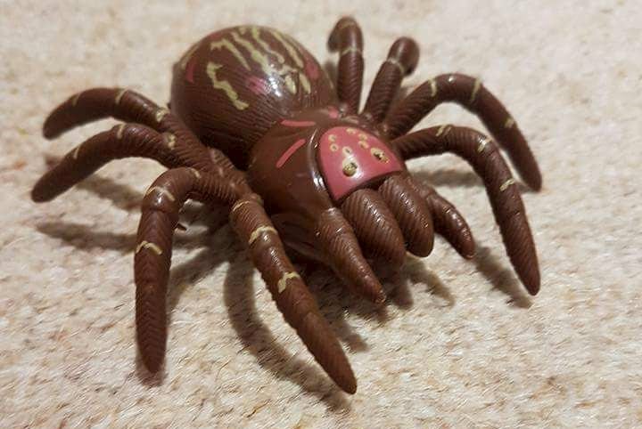 Oh dear! Terrified mum calls RSPCA who discover large spider is plastic 