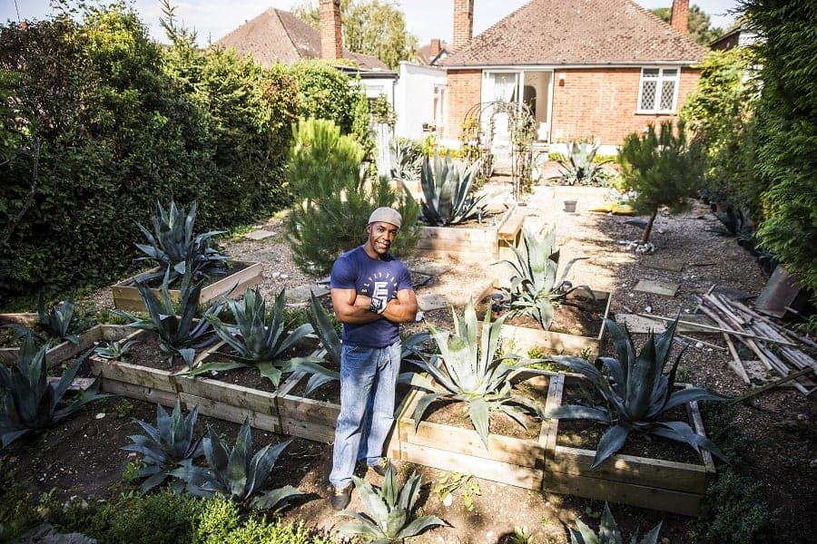 Amateur gardener sets out to produce home-made Tequila from Harrow
