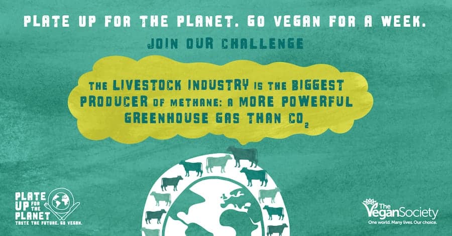 Week-long vegan challenge saves enough carbon dioxide to fly to the moon and back
