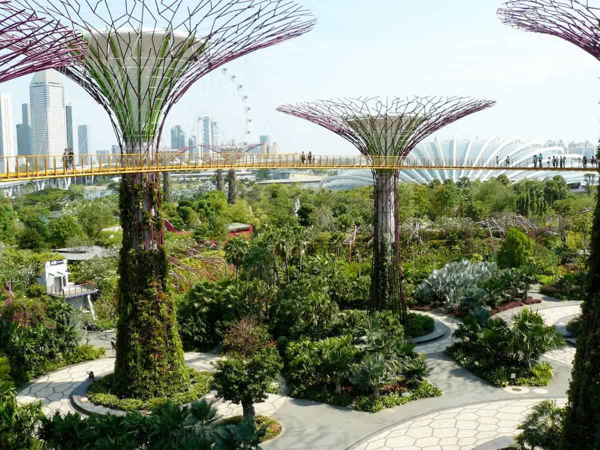 World’s botanic gardens contain a third of all known plants