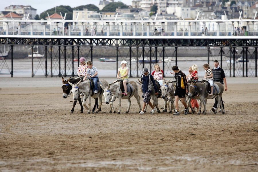 Petition to ban ‘cruel’ donkey rides gains more than 110,000 signatures