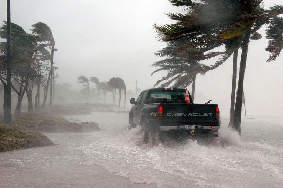 Security tightened at Mexican border as swarms of illegals flee their Florida homes