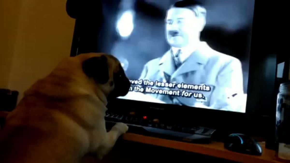 Shocking pictures of man who taught pug to give Nazi salutes when he said “gas the Jews”