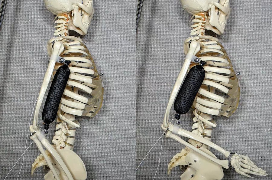 Humanoid robots a ‘strong’ step closer with synthetic muscle that can lift 1,000 times its own weight