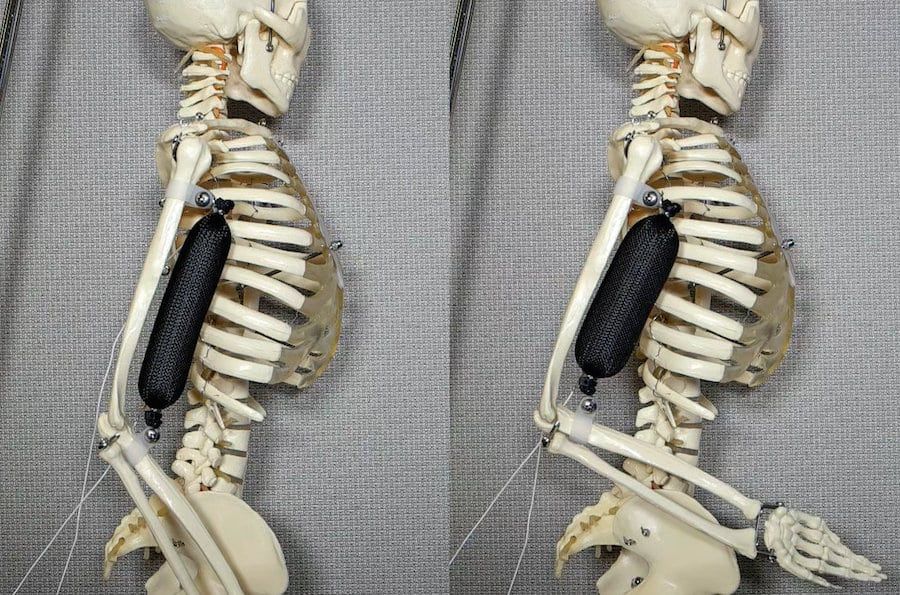 Humanoid robots a ‘strong’ step closer with synthetic muscle that can lift 1,000 times its own weight