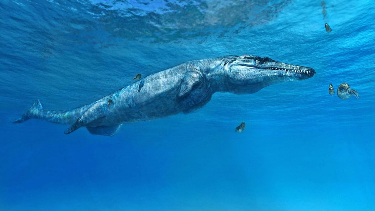 Jurassic era beast dubbed the ‘Melksham Monster’ inhabited the seas around Britain 