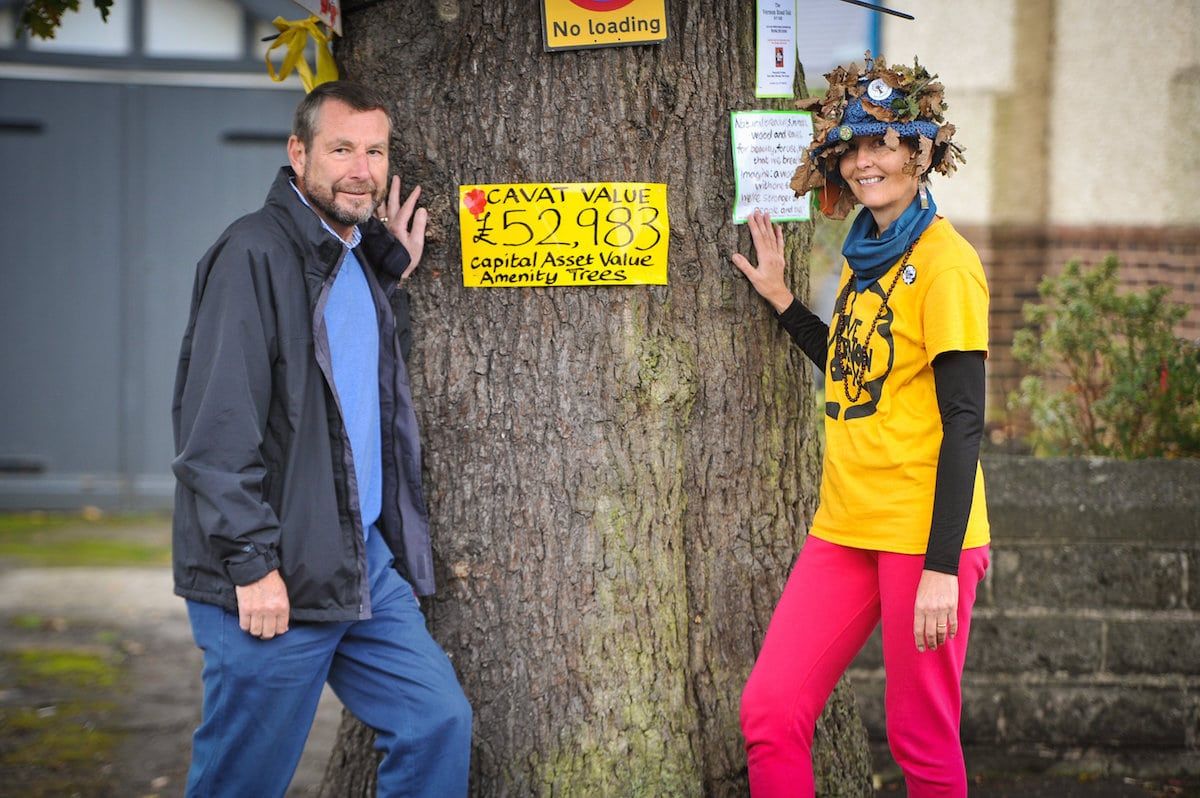 Activist scales iconic 150yo tree in bid to save it from felling as long-standing tree row continues