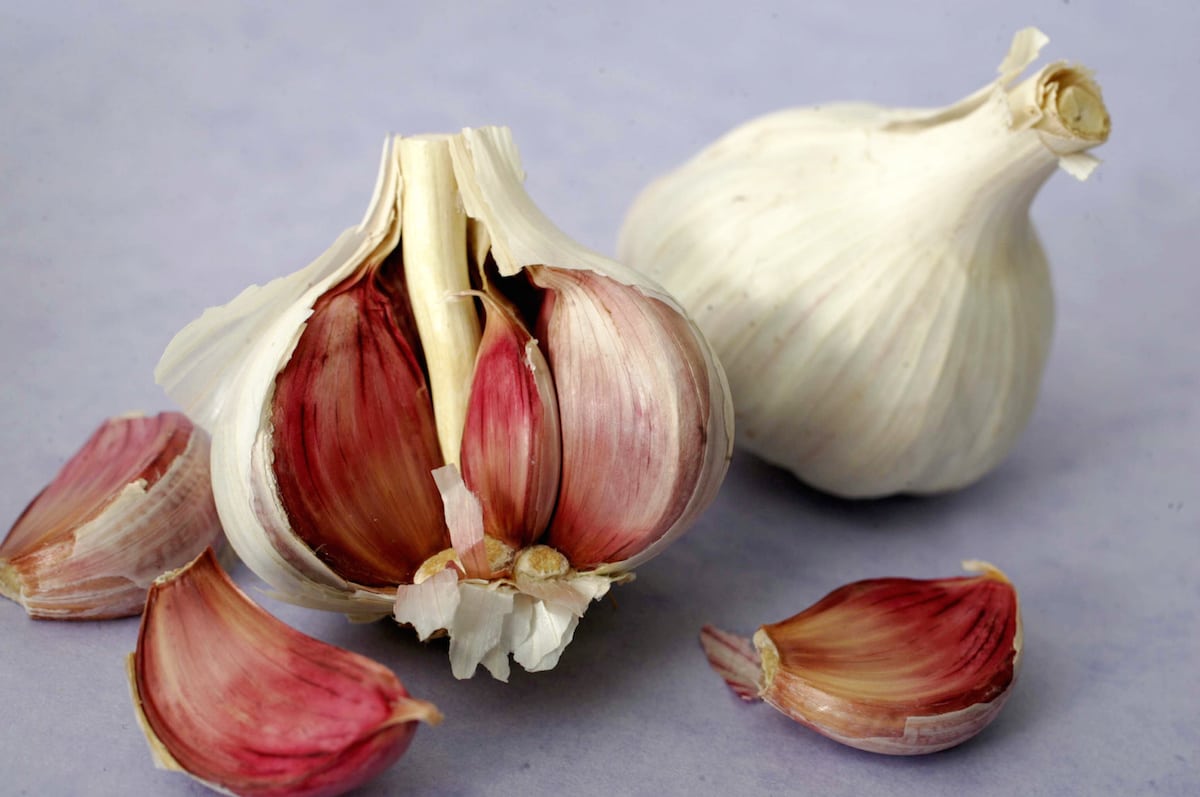 Garlic could ward off hospital superbugs, a new study revealed