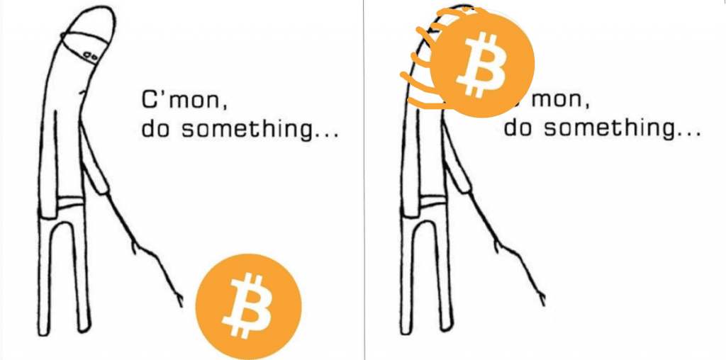 bitcoin facehugger