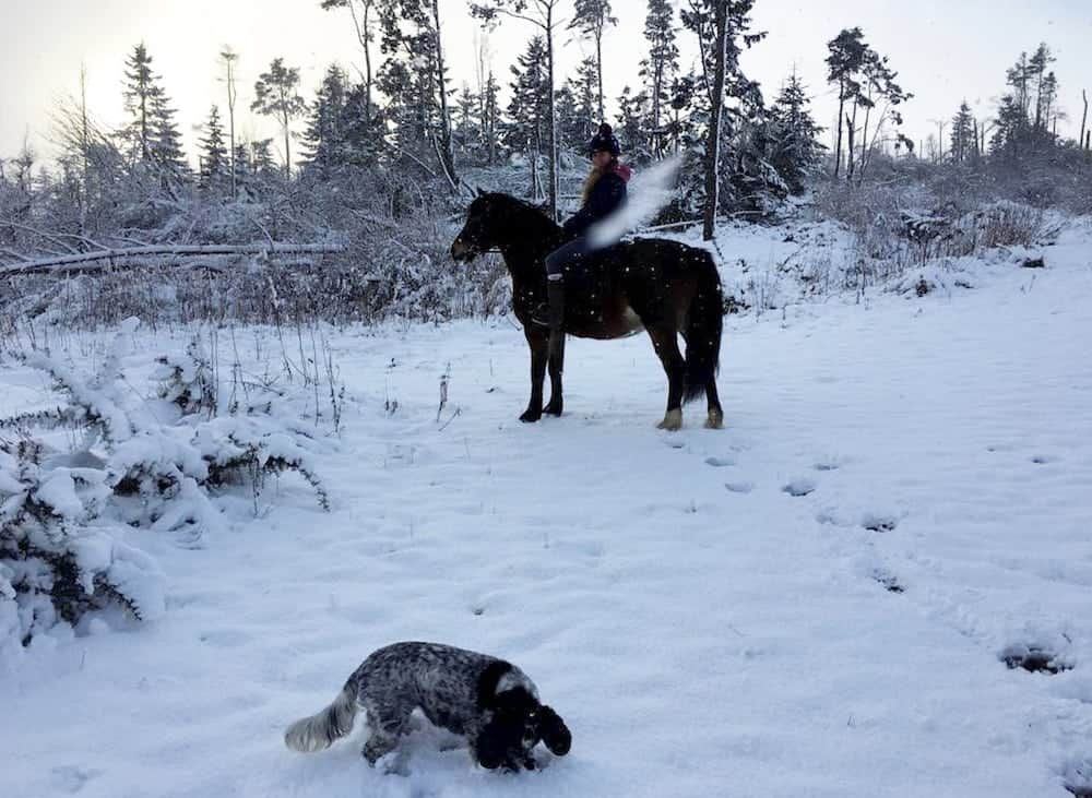 Perfectly-timed picture captures falling snowflake form angel wings on girl’s back