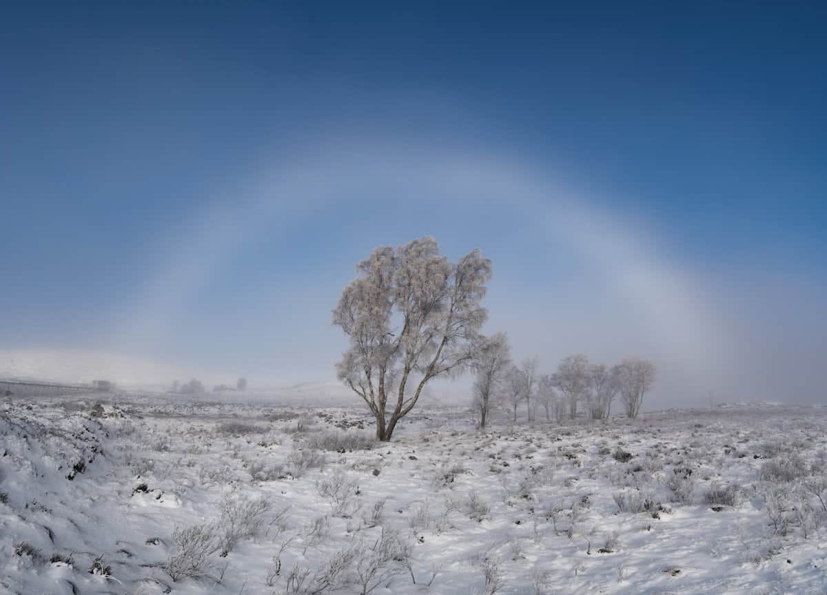 Fascinating pic of an incredibly rare weather phenomenon – known as a fogbow