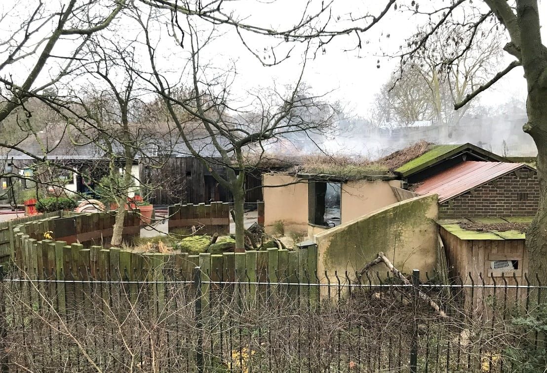 London Zoo on lockdown after fire broke out next to the Meerkats