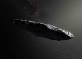 Oumuamua the space gherkin