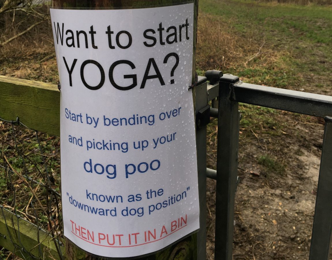 Witty poster which suggests yoga enthusiasts start by “picking up your dog poo” has gone viral after being shared 80,000 times in a week 