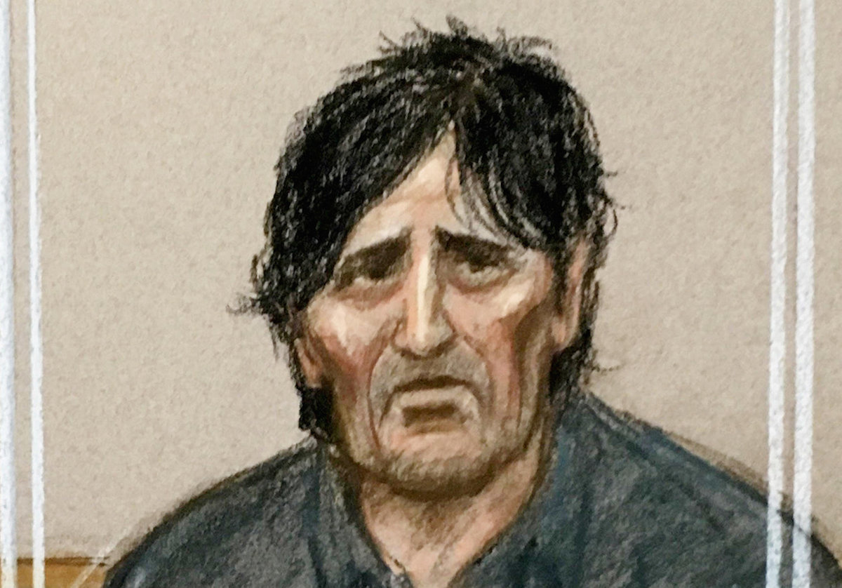Van driver who ploughed into a group of muslims , killing one, told police ‘at least I had a proper go’, court hears