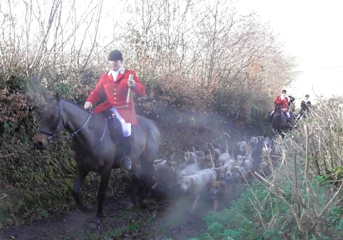 Fox hunting is a game for privileged people- such cruelty shouldn’t have a place in 2018