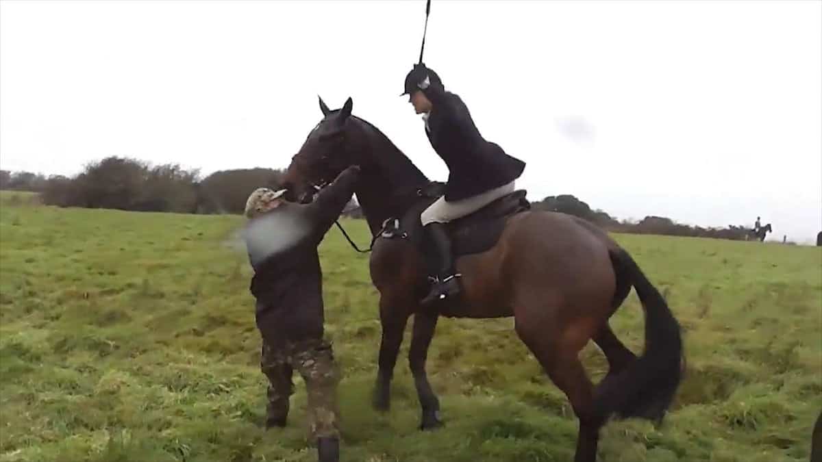 Hunter won’t face charges despite being caught on camera ‘hitting protester SEVENTEEN TIMES with her crop’