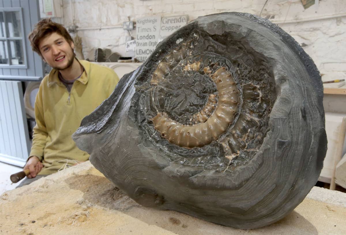 Youth decides to take up fossil hunting and makes the find of a lifetime just 15 minutes later