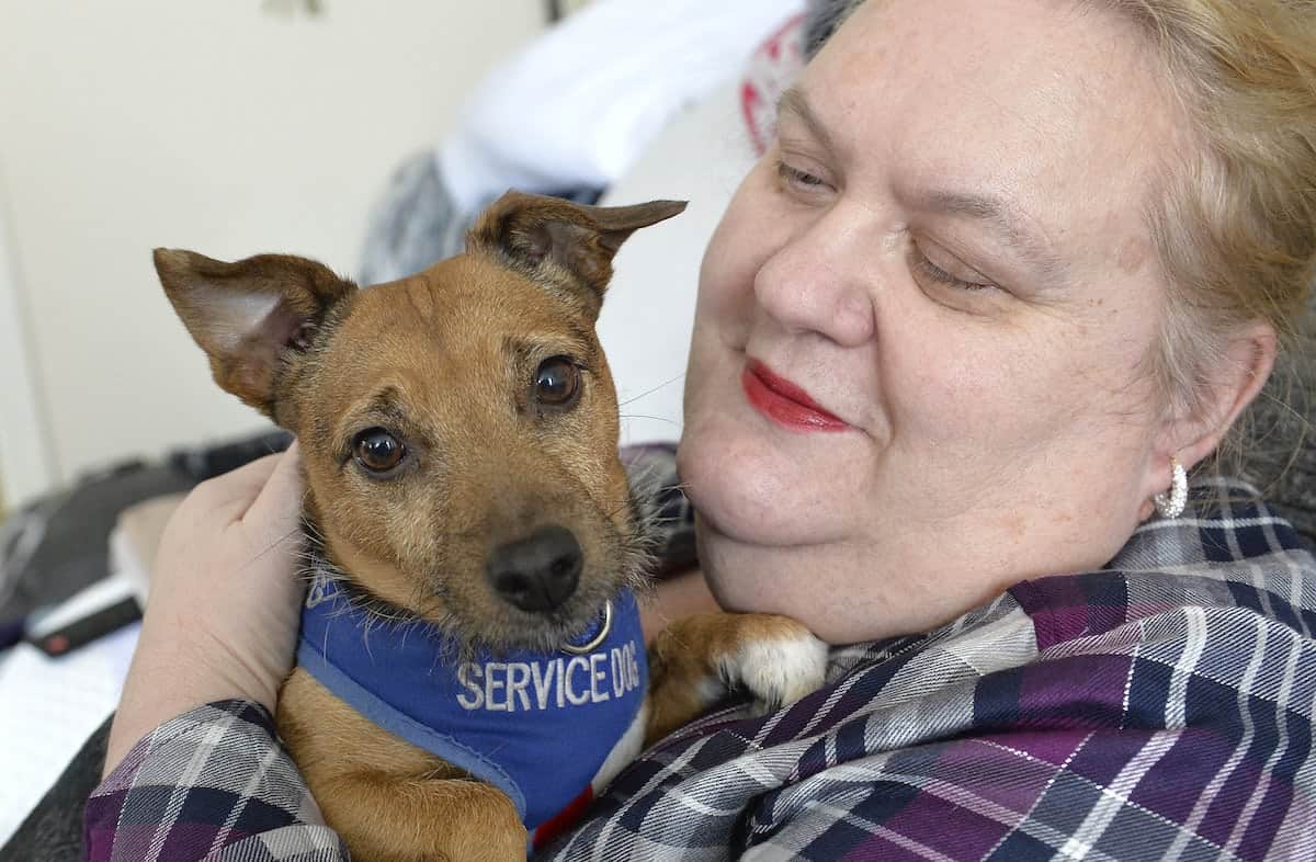 Former Army nurse who suffers from PTSD claims she was thrown out of a supermarket for taking her assistance dog inside