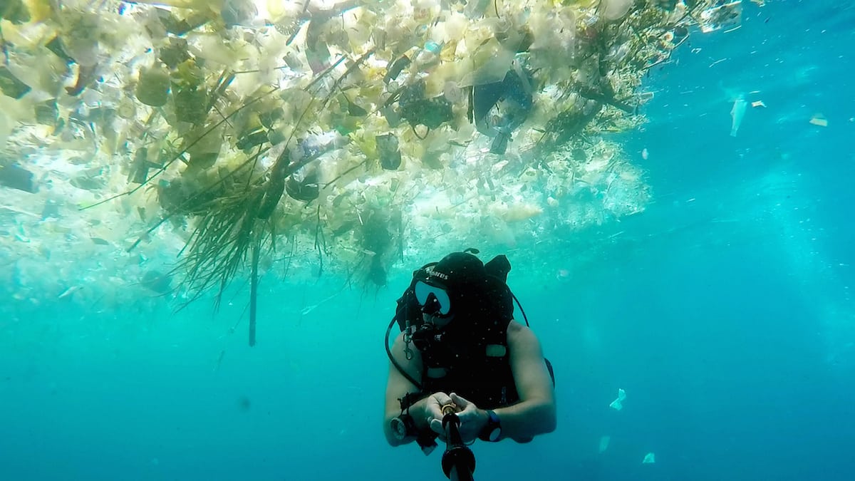 Watch – Dramatic footage of sealife swimming amongst masses of plastic in waters around Bali