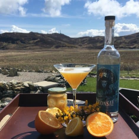 Colonsay Gin Bees Knees