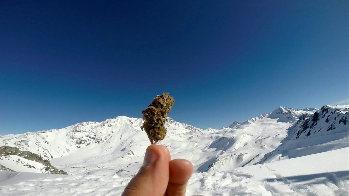 Lance Arm Bong: cyclist cycles the world, while stoned