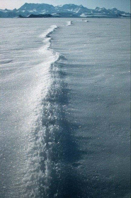 Photograph of surficial strand cracks at the Rutford Glacier at its grounding line. See National copy NNICE: Antarctica is shrinking because the sea floor is being eroded - by warm water. Global warming is causing vast swathes of the land underneath the frozen continent to be carried away - leading to structural instability in the great ice sheet. Now entire cliffs of ice that have stood for millions of years are breaking off and falling into the ocean, because the land they were built on has been subject to rapid erosion.