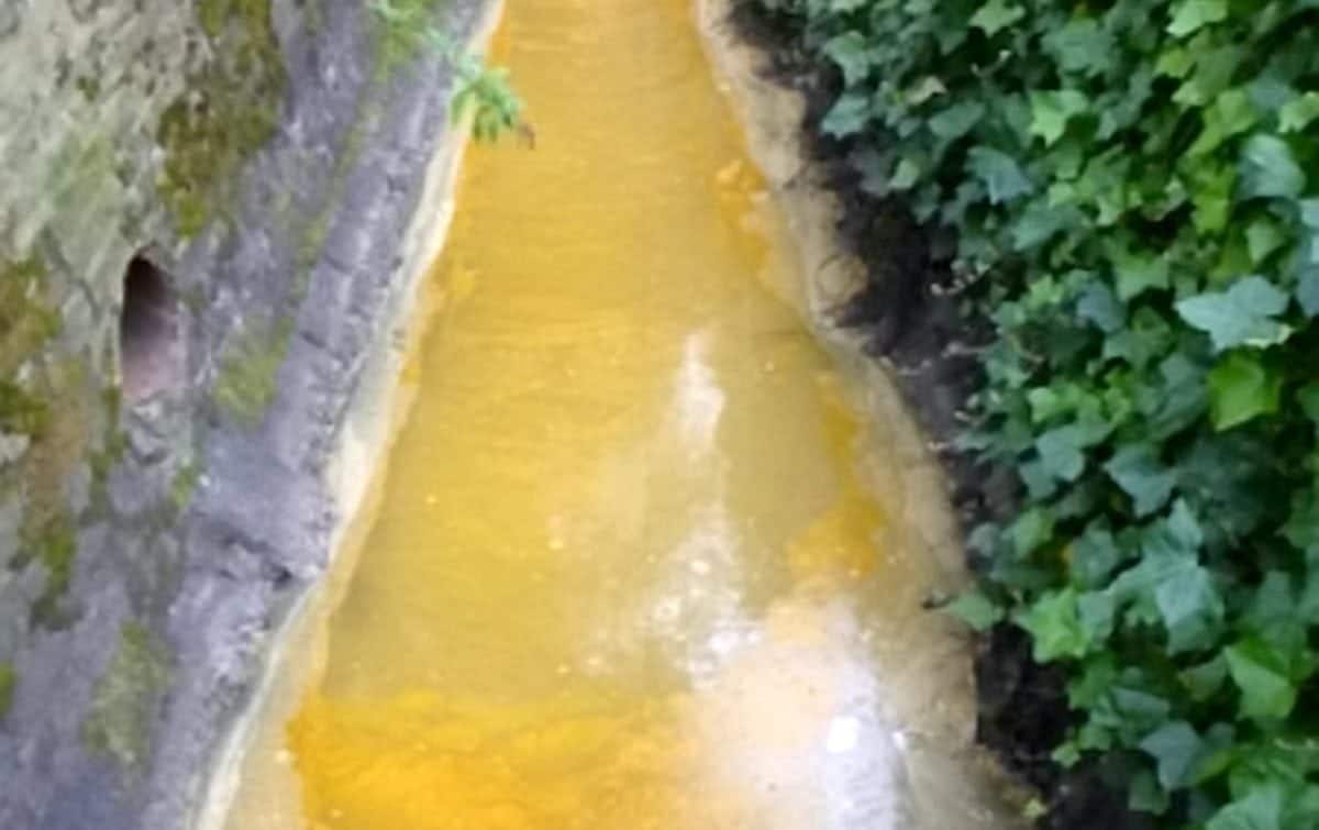 Bradford rivers polluted by curry