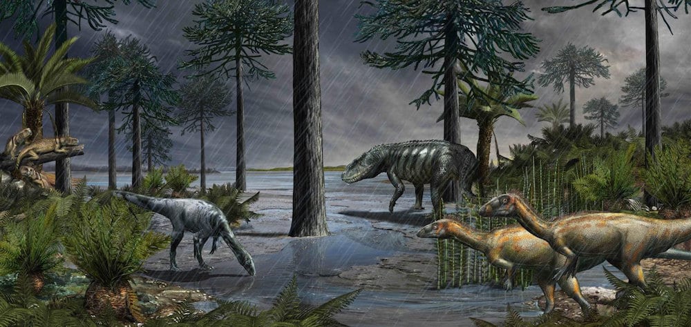 Meteors not only wiped out the dinosaurs but originally allowed them to flourish