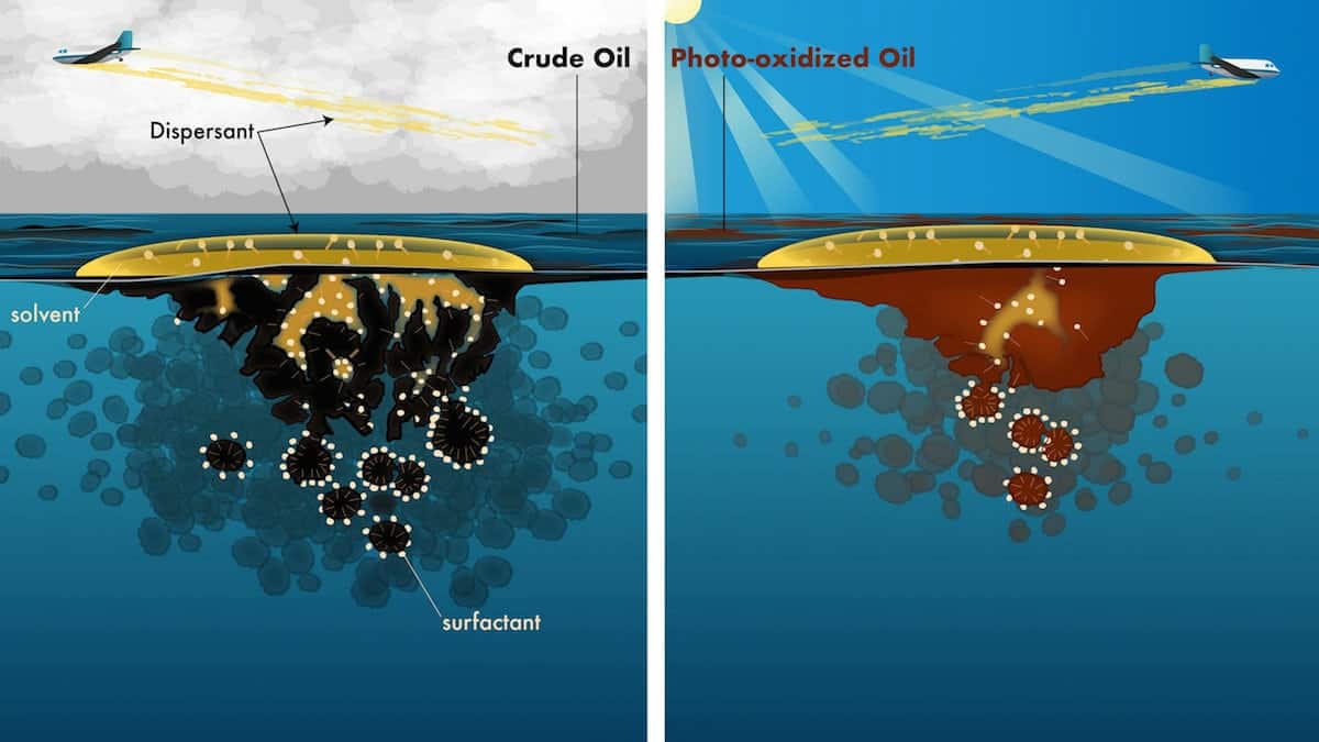 Sunlight reduces effect of chemical used to disperse oil spills