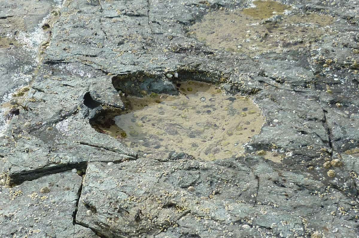 Giant dinosaurs bigger than buses once roamed the Isle of Skye