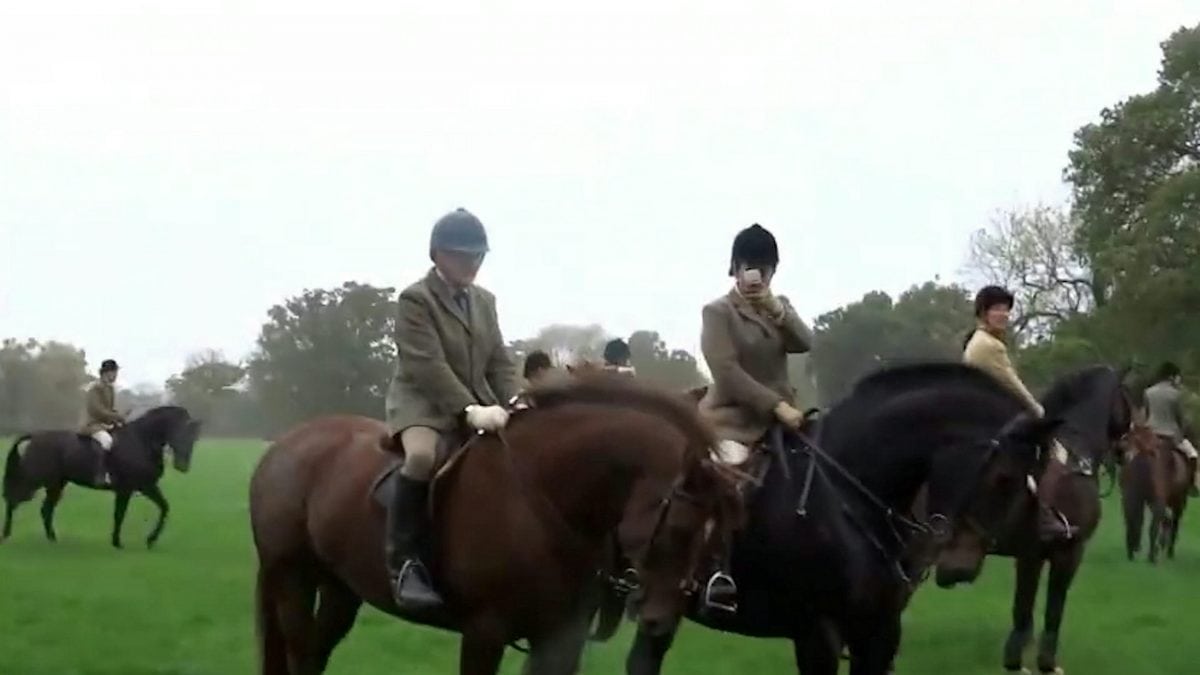 Footage showing the hunt chasing a fox. See Ross Parry story RPYHUNT; A police investigation into a hunt has been dropped by the CPS due to a lack of evidence - despite officers being given a VIDEO of a fox being chased by hounds. The CPS was handed footage of a fox across fields in Cheshire - followed by terriermen on quads and hunt members on horses. Cheshire Monitors - a group of hunt saboteurs - captured the chase from two different locations and gave the footage to the police, who took statements and did site visits. But after six months of investigating, the CPS said the case "didn't meet the evidential test" so dropped the case. The protesters are calling on law makers to strengthen the "weak and pretty useless" Hunting Act which outlaws the hunting of foxes by hounds.