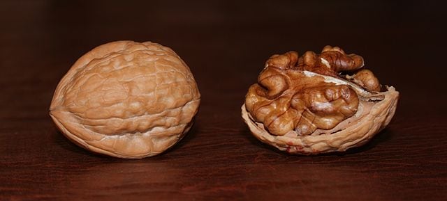 A daily handful of walnuts can slash depression particularly among women