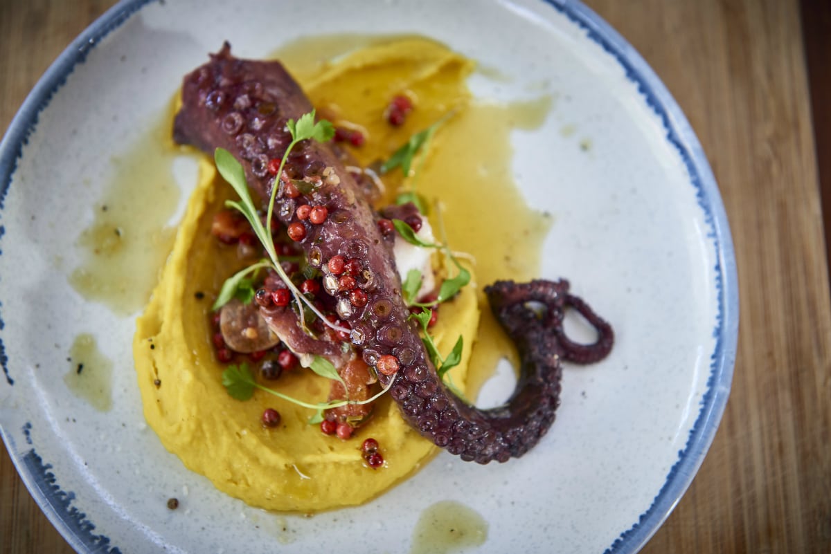 Brother Marcus Angel Grilled octopus with fava puree pink peppercorn vierge and charcoal oil | best new restaurants