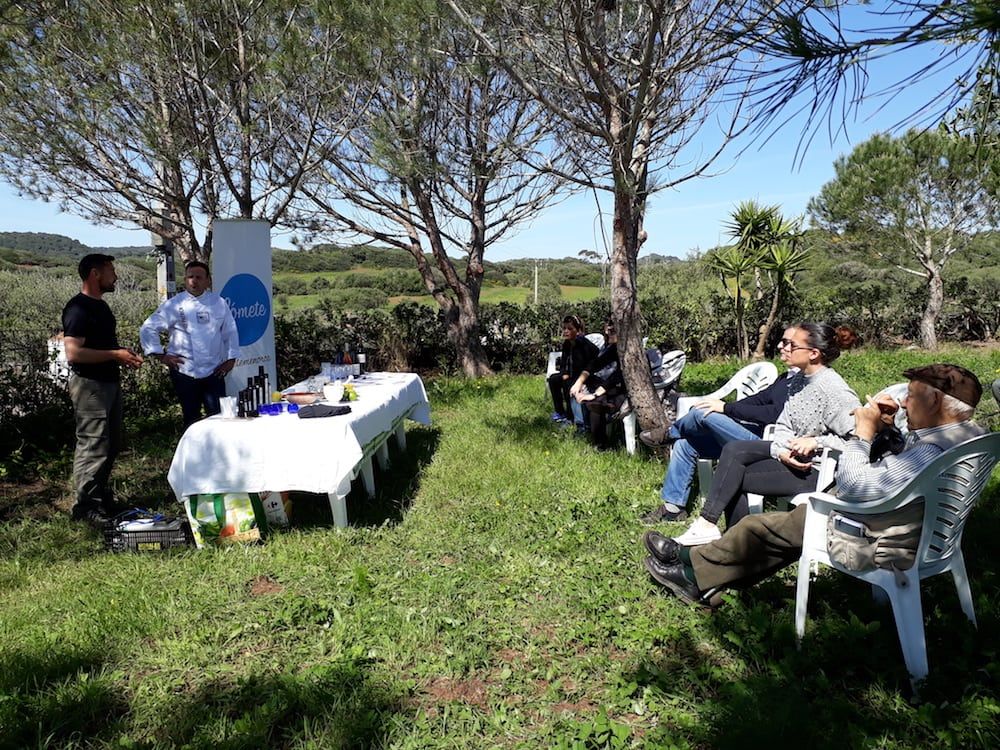 Olive oil demonstration - Pont Modorro 