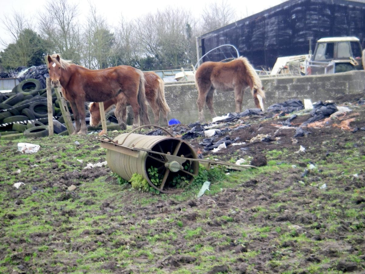 Shocking photos released as “farm from hell” farmer jailed 