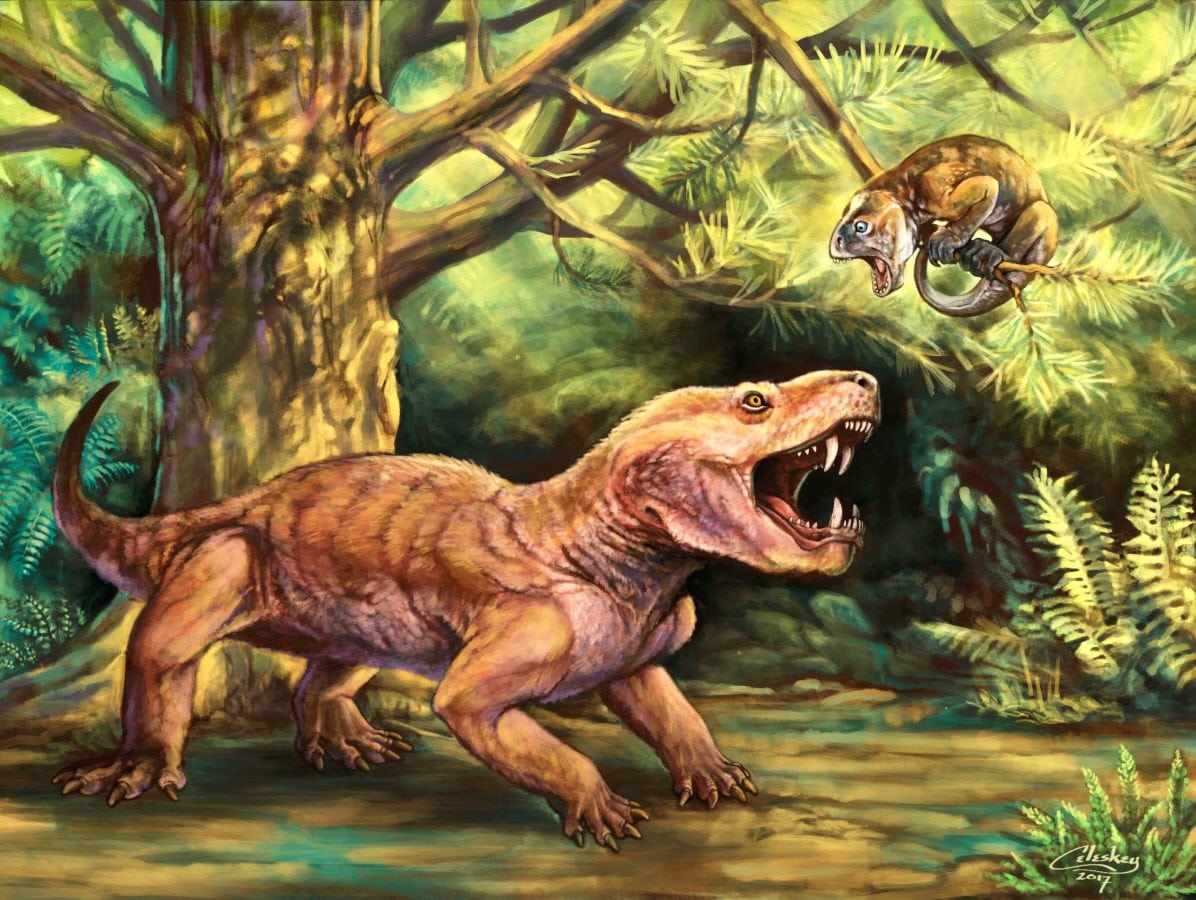 ‘Monstrous’ new Russian sabre-tooth fossils clarify early evolution of mammals