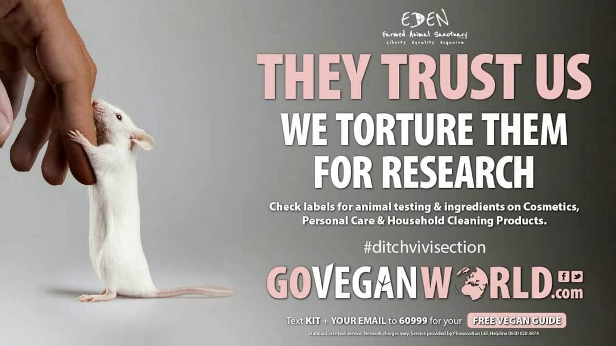 Vegan group’s ‘animal torture’ claim ad given all clear despite complaint from scientist