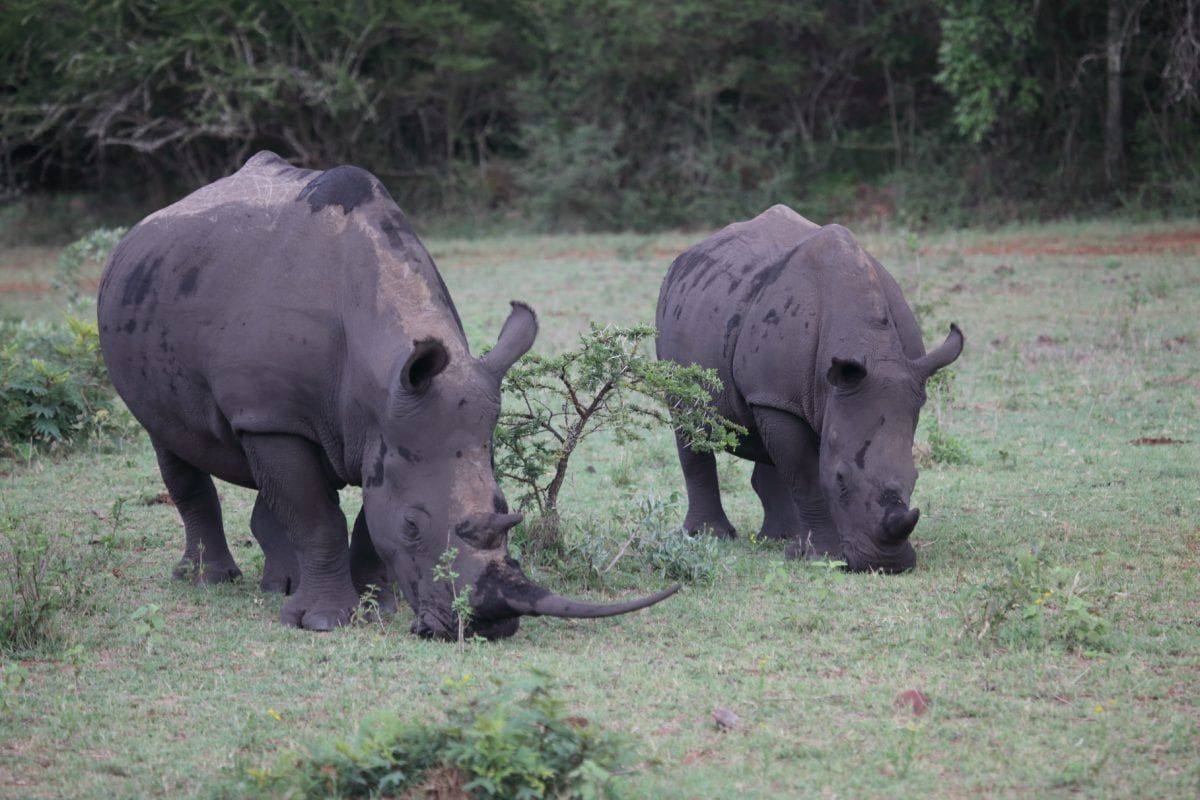 On the trail of South Africa’s less famous wildlife parks