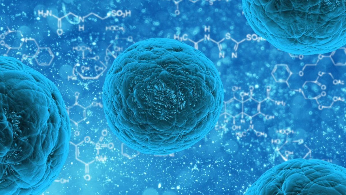 Cure for cancer could be on the horizon after scientists identified its ‘Achilles Heel’